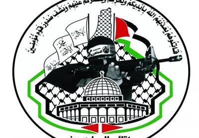 جنبش المجاهدین: تصمیم یمنی‌ها تحولی منحصر به فرد در دفاع از ملت فلسطین است - تسنیم