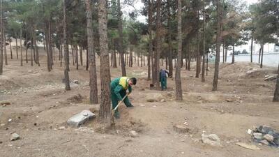 رفع موانع کاشت ۳۰ هزار درخت در بوستان سرخه حصار