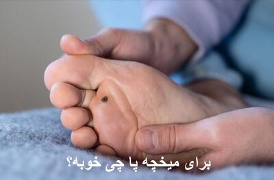 برای میخچه پا چی خوبه؟ درمان فوری میخچه پا در منزل با گوجه فرنگی، سیر و وازلین