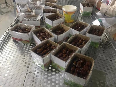 خرمای کویر در سایه بی مهری