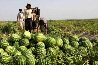پیشنهاد جالب روزنامه کیهان برای حل بحران آب