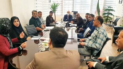 فعالان حوزه فرش‌بافی در پاکدشت حمایت می‌شوند/ آموزش رایگان و بیمه فرش‌بافان شهرستان در دستور کار