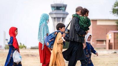 غیب شدن ۳۰ میلیون نان ؛ دردسر افغانی‌ها برای ایران