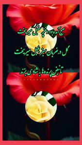 فال و طالع بینی روزانه هفتم مرداد