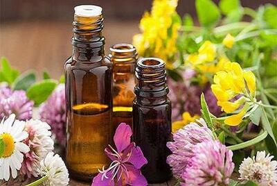 با مصرف این روغن‌ها پیر نمی‌شوید - سبک ایده آل