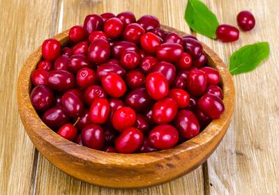 خواص بی نظیر زغال اخته که عمرا اگر می دانستید