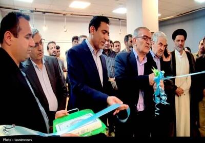 نمایشگاه کهن مرز  در یاسوج آغاز به‌کار کرد+تصویر - تسنیم