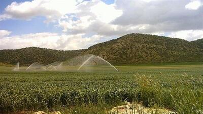 توسعه سامانه‌های نوین آبیاری مرهمی برای خشکسالی و کم آبی کشور