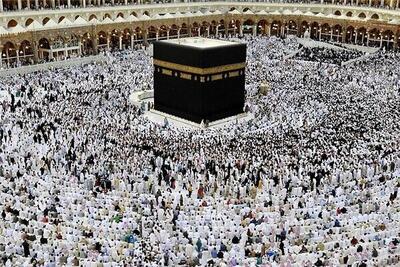 اطلاعیه سازمان حج و زیارت در خصوص نحوه ثبت‌نام «عمره» ۱۴۰۴- ۱۴۰۵