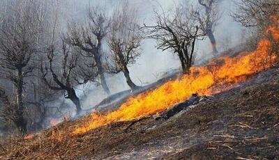 آتش‌سوزی گسترده در منطقه کوهستانی دشتستان؛ تلاش 3 روزه نیروها همچنان «بی‌اثر»!