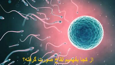 از کجا بفهمیم لقاح صورت گرفته یا نه؟ علائم لقاح موفق در روزهای اول