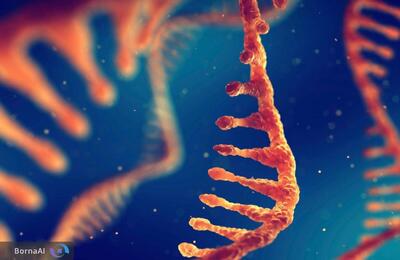 راز انتخاب ریبوز برای RNA فاش شد!