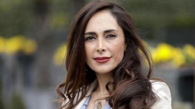 دریا صفایی کیست؟/ آیا ایران قصد ربایش او را داشته است؟