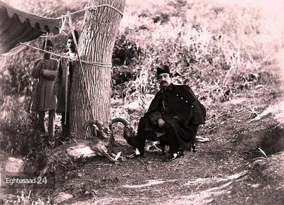 عکس/ گوزن تاکسیدرمی شده توسط ناصرالدین شاه ۱۳۴ سال پیش در حیاط کاخ گلستان | اقتصاد24