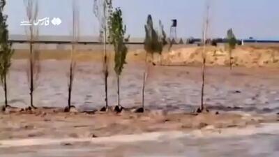 ببینید| باران شدید باران در ۳ روستای اردبیل سیل راه انداخت