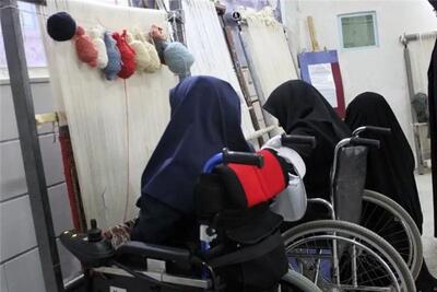 دولت ماده ۲۷ قانون حمایت از معلولان را اجرایی کند