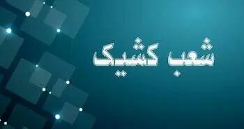 اعلام شعب کشیک بانک توسعه صادرات ایران تا پایان شهریورماه سال جاری