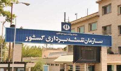 عملیاتی شدن هواپیمای سازمان نقشه‌برداری کشور پس از پنج سال