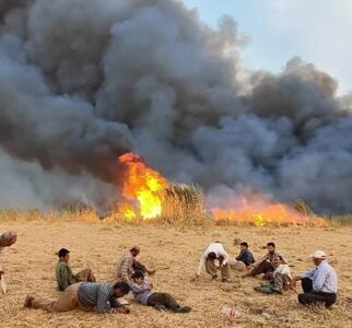 مهار آتش‌سوزی گسترده در تالاب گروس مهاباد