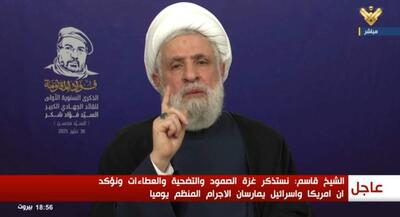 نعیم قاسم: تا زمانی که یک نفرمان زنده است، تسلیم نخواهیم شد | جهان نیوز