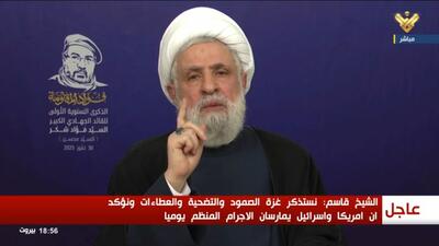 شیخ نعیم قاسم: تا زمانی که یک نفرمان زنده است، تسلیم نخواهیم شد