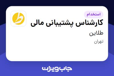 استخدام کارشناس پشتیبانی مالی در طلاین