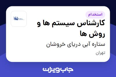 استخدام کارشناس سیستم ها و روش ها در ستاره آبی دریای خروشان