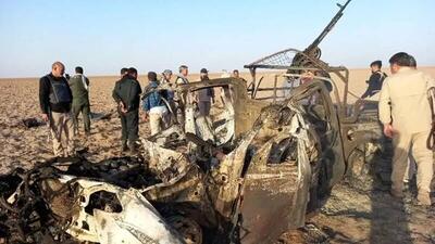 «دیوانه کویر» به هلاکت رسید