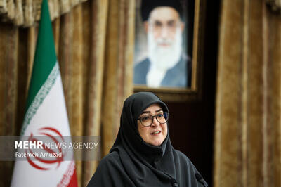مهاجرانی: اجرای طرح بیمه سهام از اقدامات حمایتی دولت از بازار بورس بود