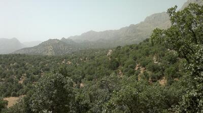 ناقوس مرگ زاگرس؛ زوالی که کمک می‌طلبد