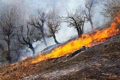 پرونده قضایی برای آتش‌سوزی کوه آبیدر سنندج تشکیل شد