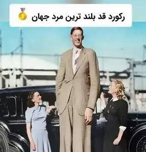 غول مهربان تاریخ؛ زندگی کوتاه اما ماندگار رابرت وادلو + ویدیو