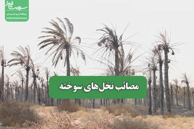 مصائب نخل‌های سوخته