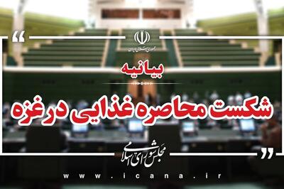 بیانیه نمایندگان مجلس درخصوص ضرورت شکست محاصره غذایی در غزه