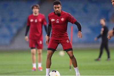 گل محمدی به دنبال مدافع پرسپولیسی