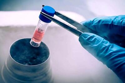 اتفاق عجیب دیگر بعد از تعطیلی بخش IVF بیمارستان آبان: جنین اشتباهی تحویل خانواده‌ها دادند