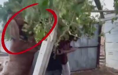 تربیت وحشی‌گری؛ نوجوانان شهرک‌نشین از کودکی برای سرکوب فلسطینی‌ها تربیت می‌شوند!