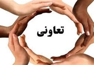 تعاونی‌ها، کلید رونق کسب‌وکارهای خرد و راهکاری موثر در اشتغال‌زایی - تسنیم
