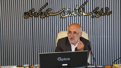 کردستان  در اوج تولید گندم/  خرید تضمینی از ۶۳۰ هزار تن فراتر رفت
