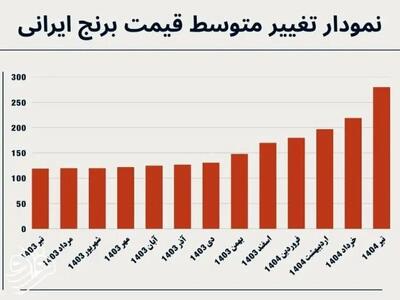 اینفوگرافی/ افزایش سرسام آور قیمت برنج ایرانی در یک سال | اقتصاد24