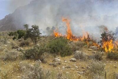 آتش‌سوزی گسترده در مازندران و بوشهر