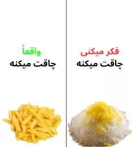 راهنمای کامل تغذیه سالم در زندگی