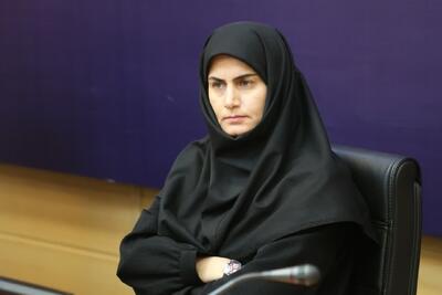 پروژه‌های خورشیدی زنجان با مانع ارزی روبرو است