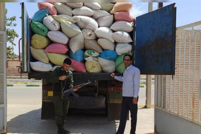 کشف و توقیف ۱۳ تن پسته جنگلی قاچاق در سرخس