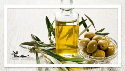 روغن زیتون؛ دوست یا دشمن پنهان چاقی؟