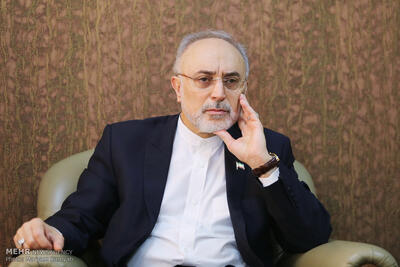 واکنش عجیب صالحی به احتمال آغاز مجدد جنگ علیه ایران