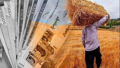 پرداخت مطالبات معوق گندم‌کاران آغاز شد
