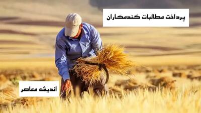 خبر فوری از پرداخت مطالبات گندمکاران 10 مرداد/ پرداخت دیرهنگام مطالبات گندمکاران / اوراق قرضه به عنوان راهکار مالی / روند کند و طولانی / کشاورزان در انتظار تسویه