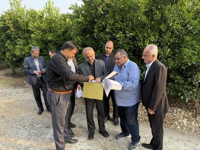 برخورد قاطع با تخلفات تغییرکاربری مزارع در مازندران