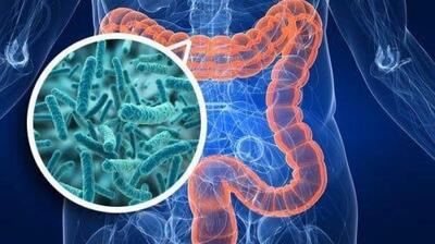 میگنا - نقش میکروبیوم روده در سلامت روان ما